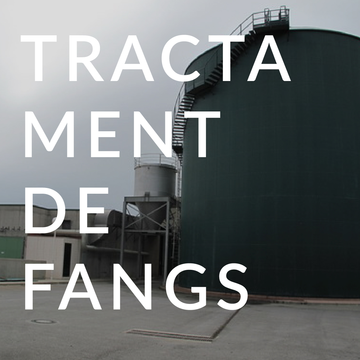 Serveis tractament de fangs Arema